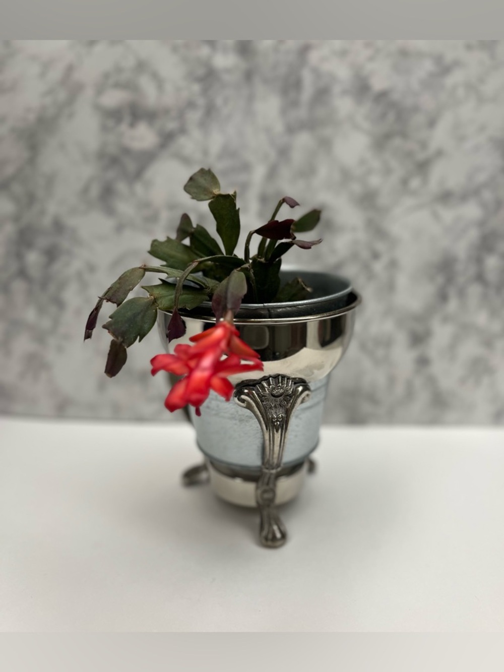 Vintage Silver Footed Planter Rim Stand - 7" Ornate Flower Pedestal - Picture 7 of 8